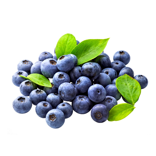 Misty blueberries