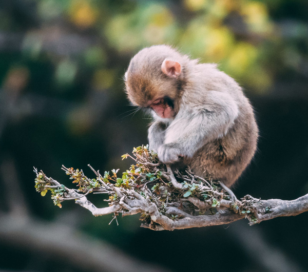 怎么拍摄才能更自然