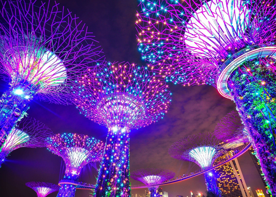 多维度效果营销 实现“二主”双赢