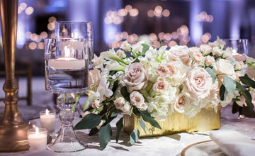 春暖花开 春季折扣