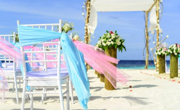 不同色彩不同含义 选择你喜欢的手捧花