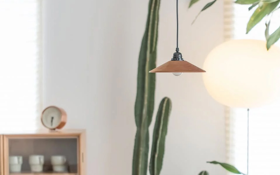 公司荣获中国经济论坛“中国创新榜样”奖