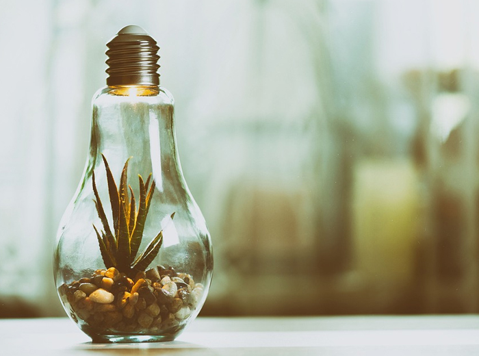 废钢环保许可证书