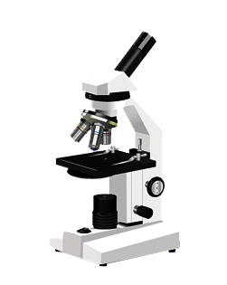 显微硬度计HVST261