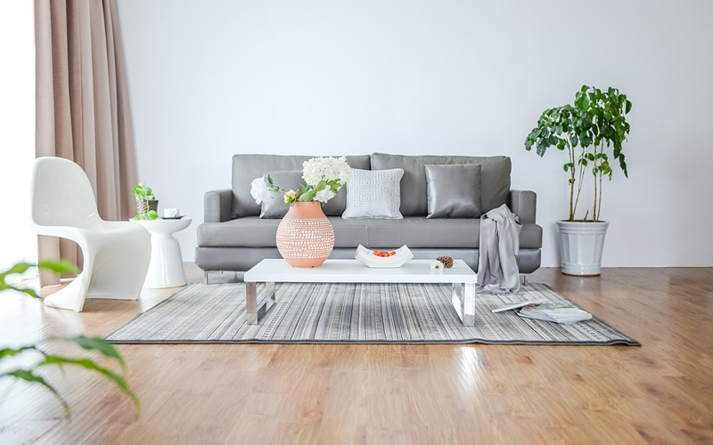 功能性壁纸：未来潮流风向标