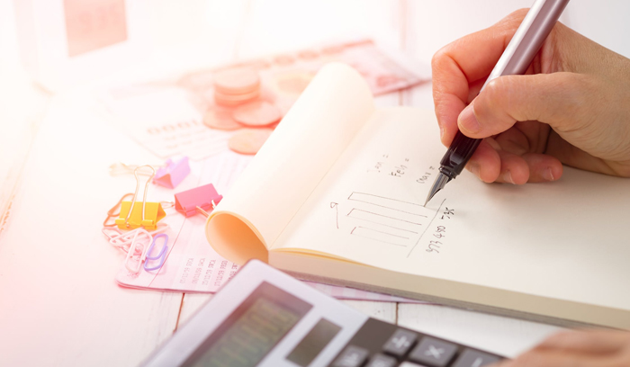 Financial Projections