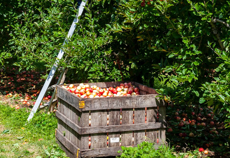 工业用橡胶板分类简介