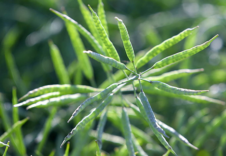 中国橡胶工业十大新闻