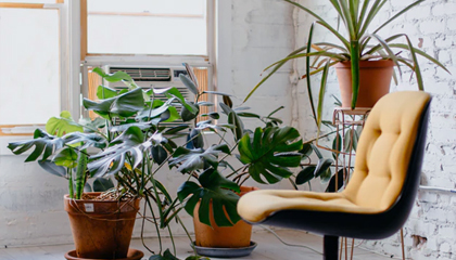 拓展营销思维视角，提升XX品牌形象