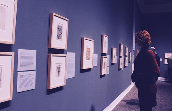 刘某某个人美术展