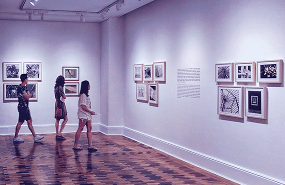 韩某某二十周年画展