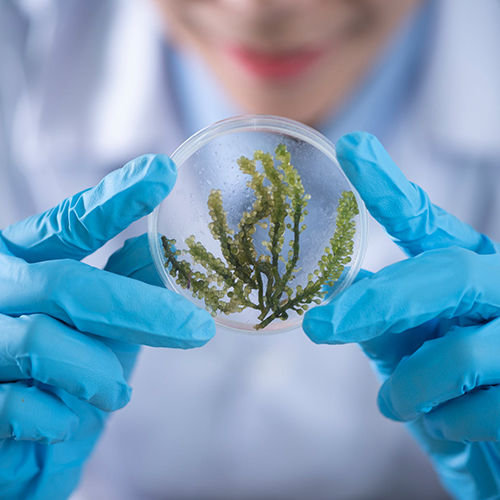 医疗机构投诉接待处理“十应当”发布