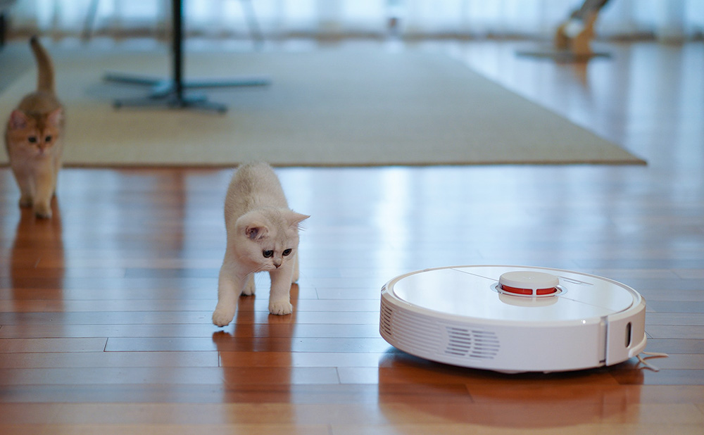 洗地机成为行业里的“明星品类”