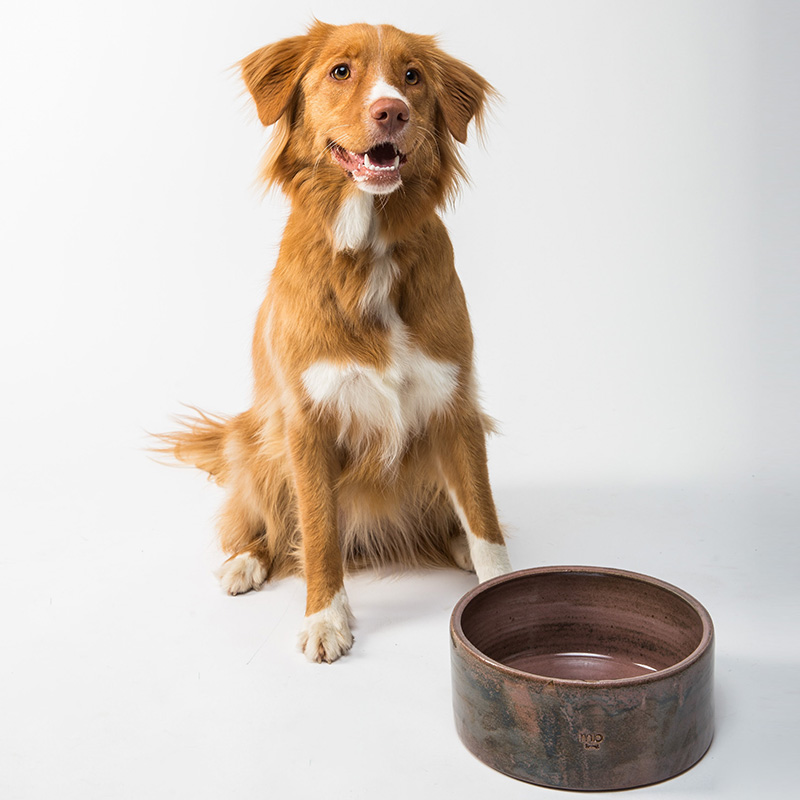 宠物餐具1