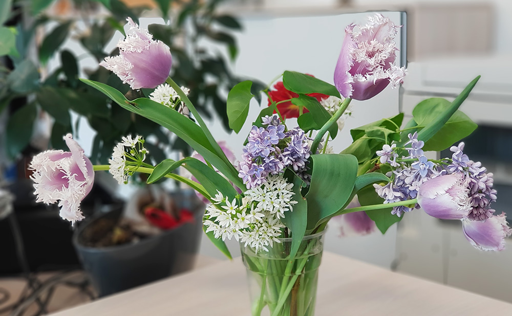 鲜切花花材如果挑选